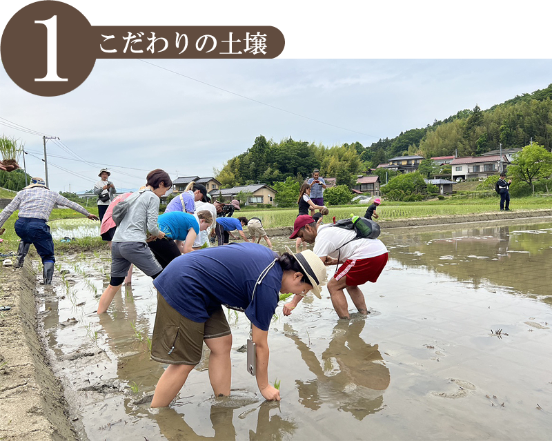 1.こだわりの土壌